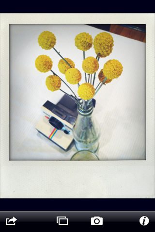 ShakeItPhoto app, photo apps, Polaroid, yellow flowers