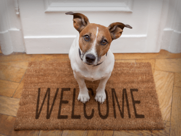 Welcome Email