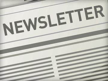 Email Newsletter