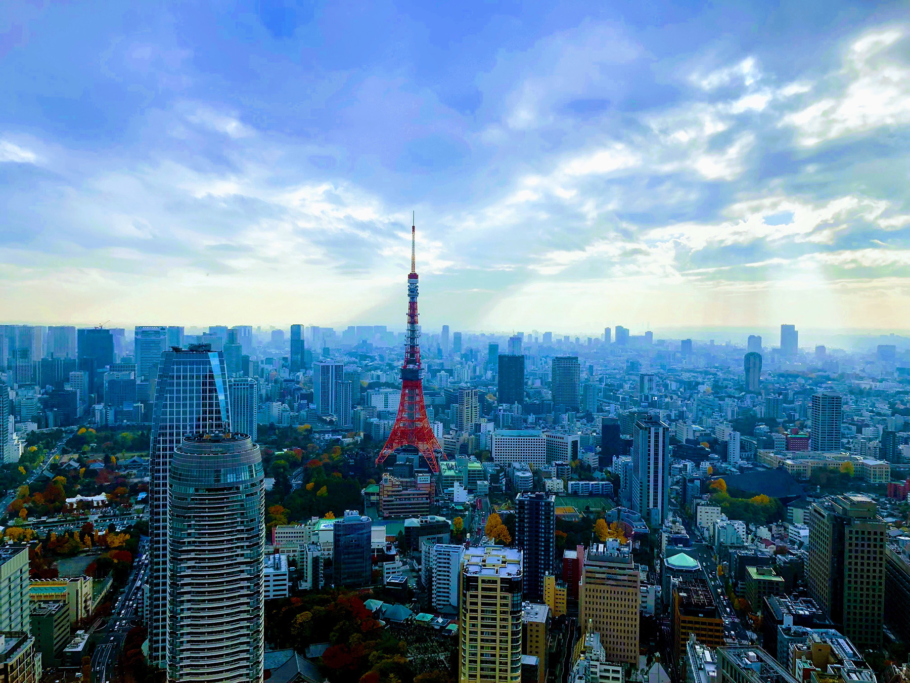 Where to Stay in Tokyo