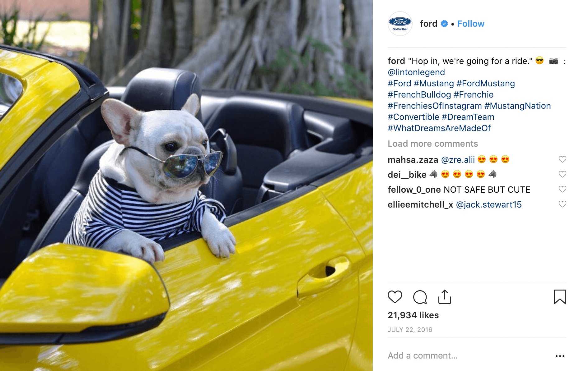 Ford Auto Dog Influencer Marketing